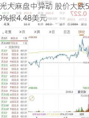 极光大麻盘中异动 股价大跌5.29%报4.48美元