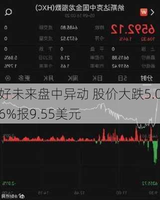 好未来盘中异动 股价大跌5.06%报9.55美元