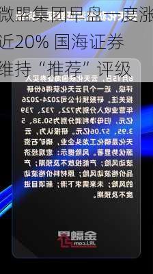 微盟集团早盘一度涨近20% 国海证券维持“推荐”评级