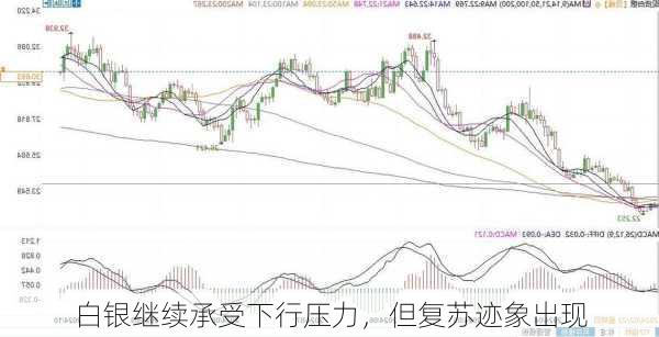 白银继续承受下行压力，但复苏迹象出现