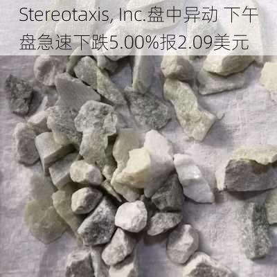 Stereotaxis, Inc.盘中异动 下午盘急速下跌5.00%报2.09美元