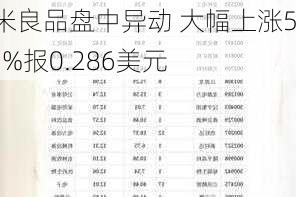 农米良品盘中异动 大幅上涨5.61%报0.286美元