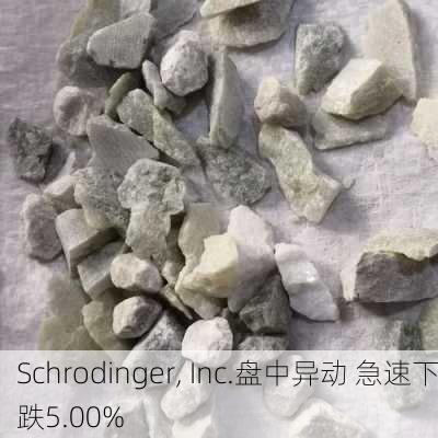 Schrodinger, Inc.盘中异动 急速下跌5.00%