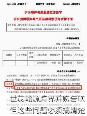 世茂能源跨界并购告吹 但这些问题必须搞清楚