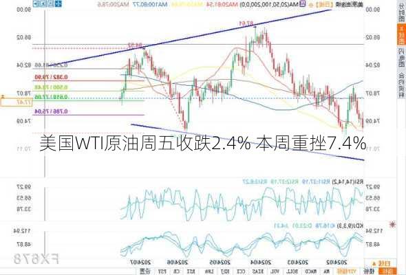 美国WTI原油周五收跌2.4% 本周重挫7.4%