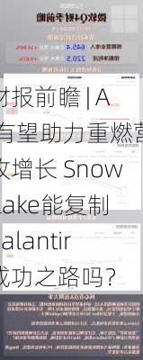 财报前瞻 | AI有望助力重燃营收增长 Snowflake能复制Palantir成功之路吗？