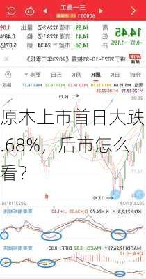 原木上市首日大跌5.68%，后市怎么看？