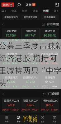 公募三季度青睐新经济港股 增持阿里减持两只“中字头”