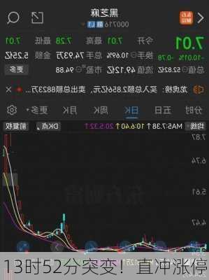 13时52分突变！直冲涨停