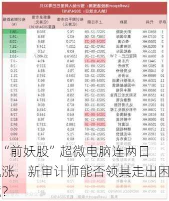 AI“前妖股”超微电脑连两日飙涨，新审计师能否领其走出困境？