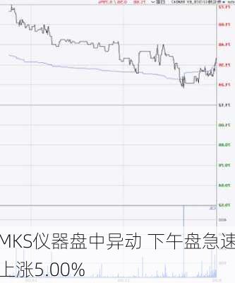 MKS仪器盘中异动 下午盘急速上涨5.00%