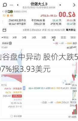 灿谷盘中异动 股价大跌5.07%报3.93美元