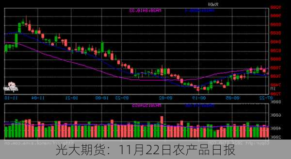 光大期货：11月22日农产品日报