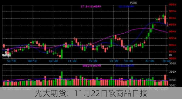 光大期货：11月22日软商品日报