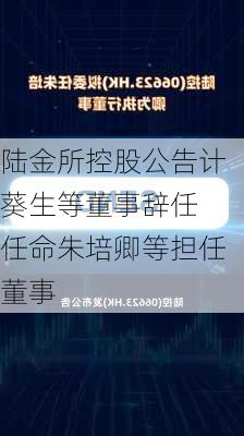 陆金所控股公告计葵生等董事辞任 任命朱培卿等担任董事