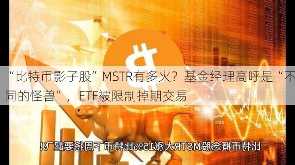 “比特币影子股”MSTR有多火？基金经理高呼是“不同的怪兽”，ETF被限制掉期交易