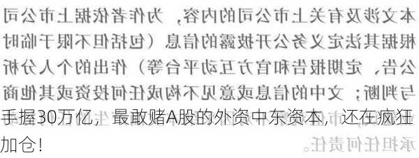 手握30万亿，最敢赌A股的外资中东资本，还在疯狂加仓！