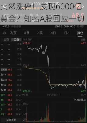 突然涨停！发现6000亿黄金？知名A股回应一切