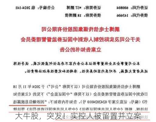 大牛股，突发！实控人被留置并立案