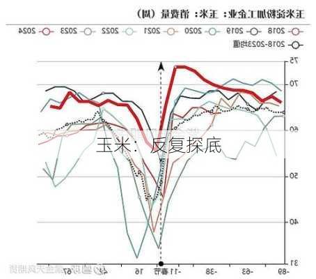 玉米：反复探底