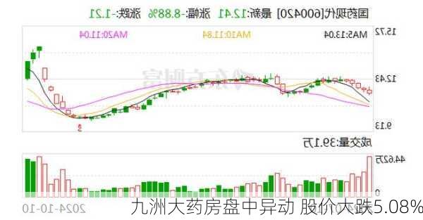 九洲大药房盘中异动 股价大跌5.08%