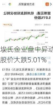 埃氏金业盘中异动 股价大跌5.01%