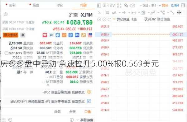 房多多盘中异动 急速拉升5.00%报0.569美元