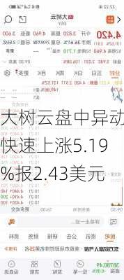 大树云盘中异动 快速上涨5.19%报2.43美元