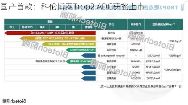 国产首款：科伦博泰Trop2 ADC获批上市