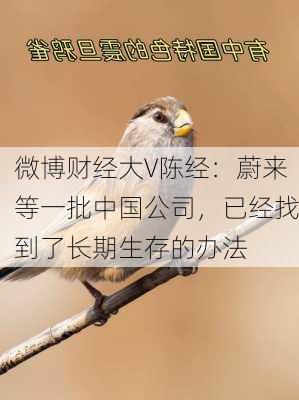 微博财经大V陈经：蔚来等一批中国公司，已经找到了长期生存的办法