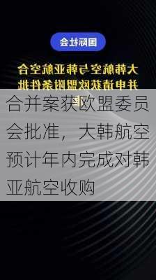 合并案获欧盟委员会批准，大韩航空预计年内完成对韩亚航空收购