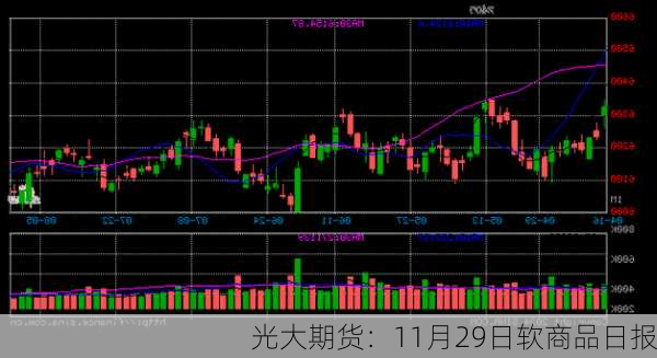 光大期货：11月29日软商品日报