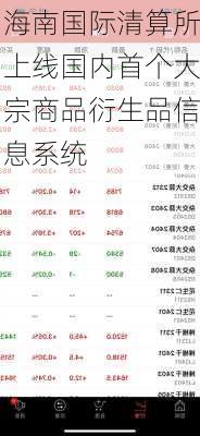 海南国际清算所上线国内首个大宗商品衍生品信息系统