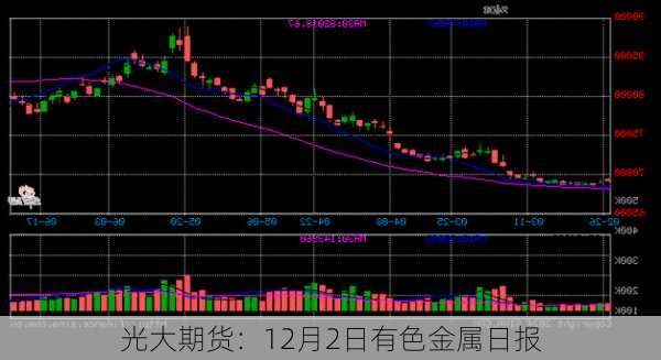 光大期货：12月2日有色金属日报