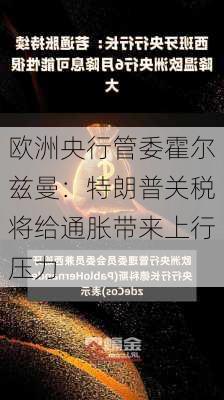 欧洲央行管委霍尔兹曼：特朗普关税将给通胀带来上行压力