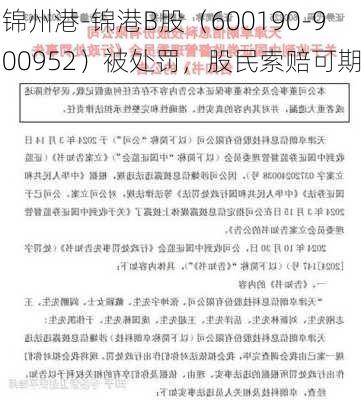 锦州港-锦港B股（600190-900952）被处罚，股民索赔可期