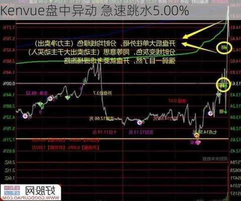 Kenvue盘中异动 急速跳水5.00%