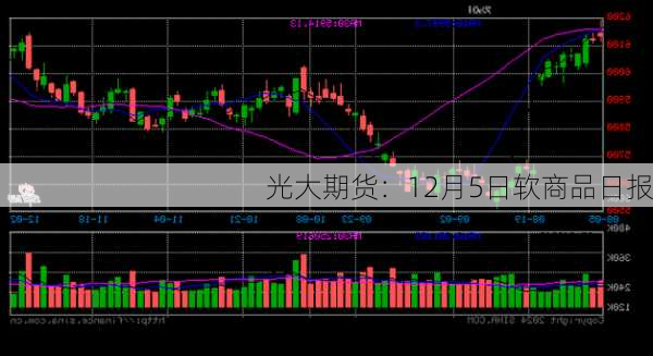 光大期货：12月5日软商品日报