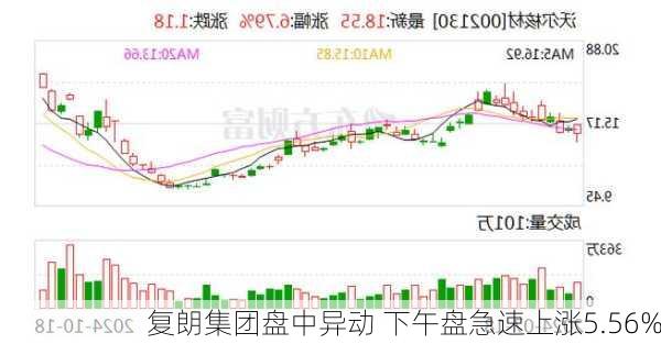 复朗集团盘中异动 下午盘急速上涨5.56%