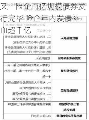 又一险企百亿规模债券发行完毕 险企年内发债补血超千亿