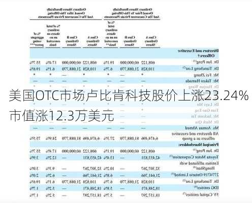 美国OTC市场卢比肯科技股价上涨23.24% 市值涨12.3万美元