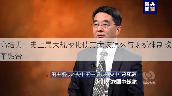 高培勇：史上最大规模化债方案该怎么与财税体制改革融合