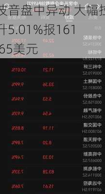 波音盘中异动 大幅拉升5.01%报161.65美元