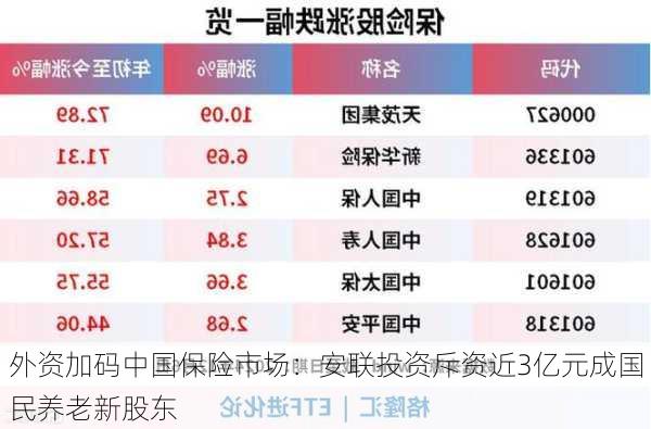 外资加码中国保险市场：安联投资斥资近3亿元成国民养老新股东