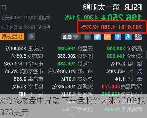 波奇宠物盘中异动 下午盘股价大涨5.00%报0.378美元