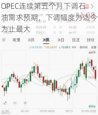 OPEC连续第五个月下调石油需求预期，下调幅度为迄今为止最大