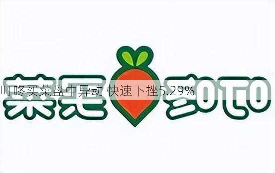 叮咚买菜盘中异动 快速下挫5.29%