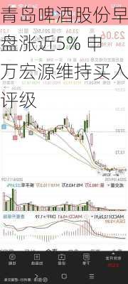 青岛啤酒股份早盘涨近5% 申万宏源维持买入评级