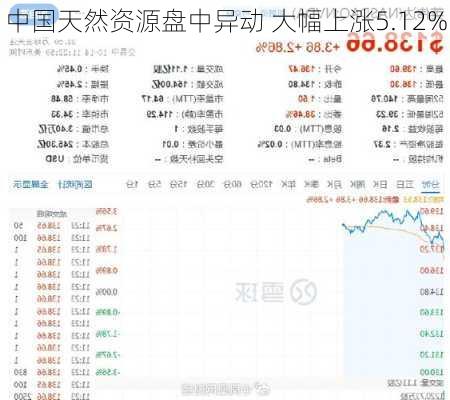 中国天然资源盘中异动 大幅上涨5.12%