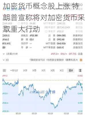 加密货币概念股上涨 特朗普宣称将对加密货币采取重大行动